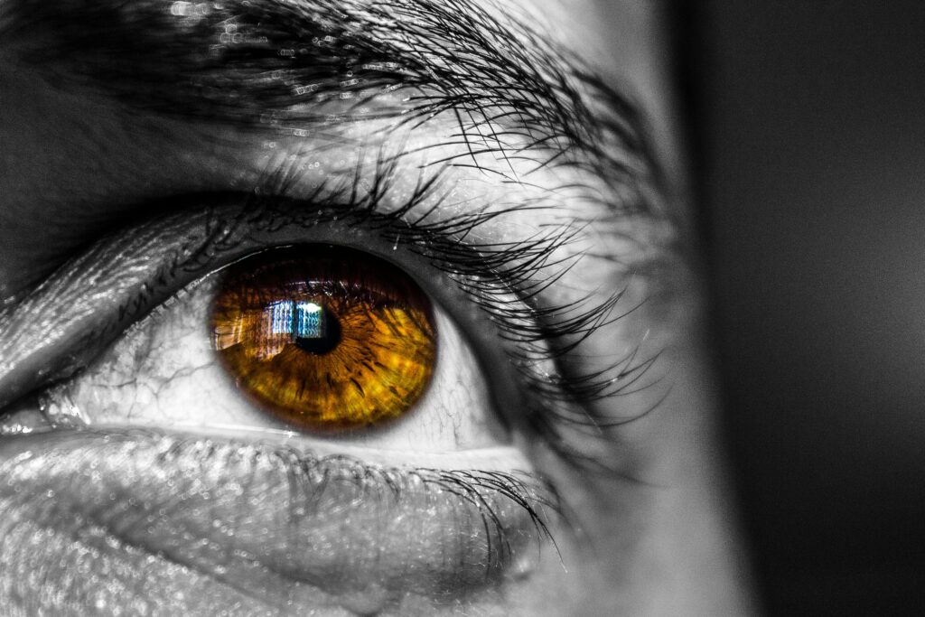 pexels-photo-18809 Detailed close-up image of a human eye, showcasing an amber-colored iris with architectural reflection.